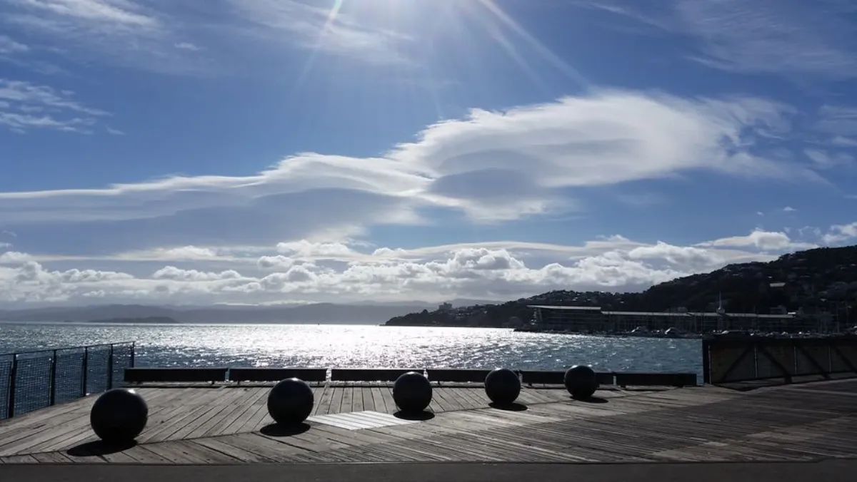 Wellington harbor